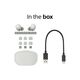 ყურსასმენი Sony WF1000XM5 Wireless Noise Cancelling In-Ear Silver (WF1000XM5S.E) , 6 image - Primestore.ge