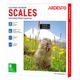 Ardesto Scales for floor MARMOT, 150kg, 2хААА included, glass, multi-colored, 5 image