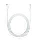 Cable APPLE USB-C to Lightning Cable 1 m/MM0A3ZM/A, 2 image