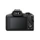 ციფრული ფოტოაპარატი Canon EOS/ R100 RF-S18-45mm f/4.5-6.3 IS STM , 3 image - Primestore.ge